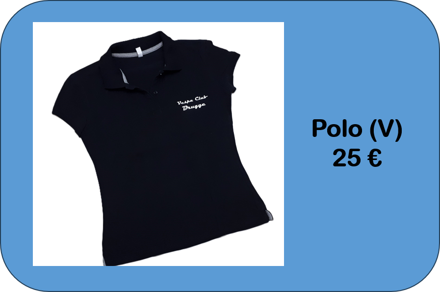 04 Polo v.png